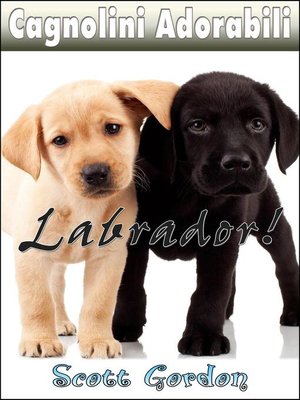 cover image of I Labrador